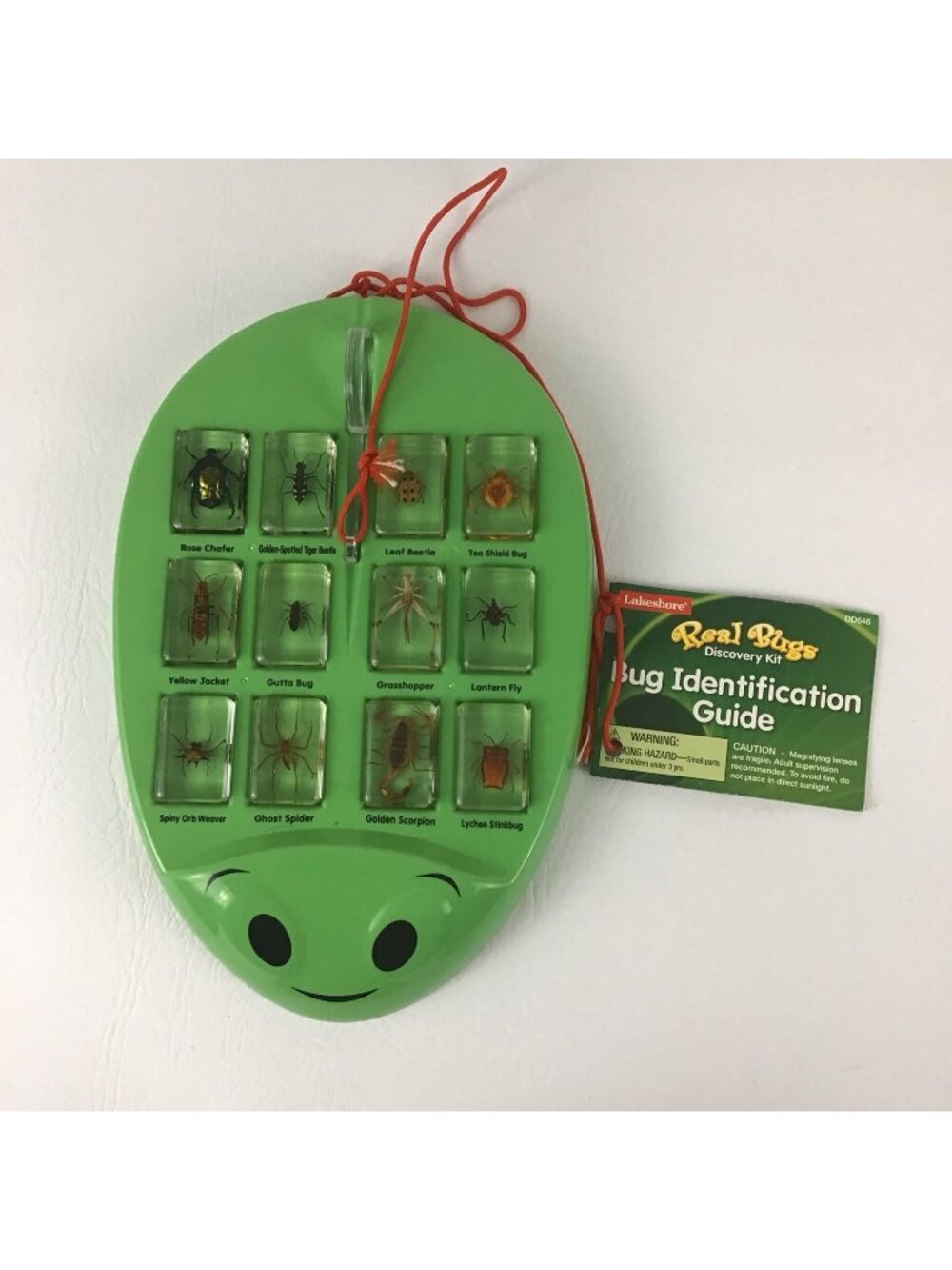 Lakeshore Real Bugs Discovery Kit Toy Complete with Identification Guide